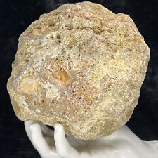 6-1/3” Unopened Geode Crystal Rattler Quartz Break Your Own Golden Healer 6.10Lb picture