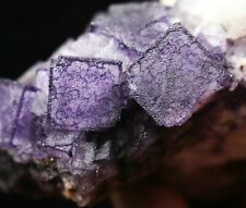 460g Beauty Rare Purple Cube “ Pattern ” Fluorite Mineral Specimens/China picture