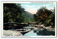 c1920's Famous Kaaterskill Clove From La Belle Falls Catskill New York Postcard picture
