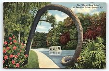1940s SILVER SPRINGS FLORIDA HORSE SHOE PALM TOUR BOAT LINEN POSTCARD P2448 picture