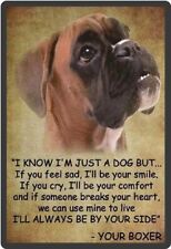 Very Nice Boxer Refrigerator Magnet picture