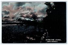 1910 Exterior View Trees After The Storm Lake Bemidji Vintage Antique Postcard picture