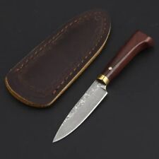 Mini Drop Point Knife Fixed Blade Hunting Survival Camping Damascus Steel Wood S picture