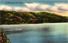 Vintage Postcard- WATAUGA LAKE, TN. picture