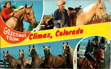 Vintage Multi-View Postcard Greetings from Climax CO Colorado Horses       E-135 picture
