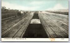 Savanna Illinois~CM & St P Railroad Yards~Loaded Box Cars~c1910 CU Williams picture
