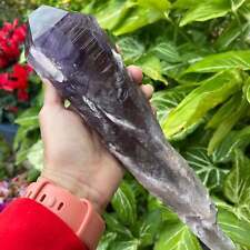 Bahia Amethyst Crystal XLG 1.8lbs. Dragon Tooth, Root Amethyst picture