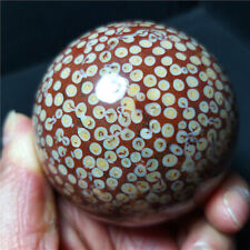 RARE 443.6G Natural Polished coral jade Agate Crystal Sphere Ball Healing  B316 picture