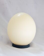 hand painted ostrich egg shell picture