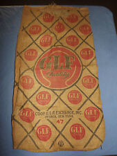VINTAGE GLF COOP  QUALITY ITHACA NEW YORK   LARGE BURLAP FEED SACK picture