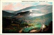 Phoenicia New York Morning Mist Birdseye View Vintage WB Postcard picture