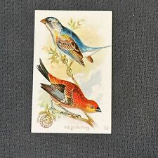 J2 1898 Arm and Hammer New Series of Beautiful Birds Baking Soda Card Singles picture