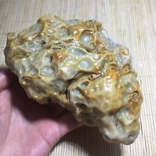 1020g Bonsai Suiseki-Natural Gobi Agate Eyes Stone-Rare Stunning Viewing  b644 picture