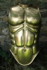 18ga Brass Sca Larp Medieval Roman Celtic Muscle Armor Cuirass Halloween Costume picture