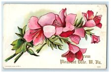 c1910's Greetings From Pleasant Dale WV, Pink Lily Flowers Hampshire Postcard picture