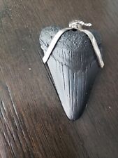 Megalodon shark tooth necklace 2 1/8