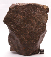 Meteorite NWA Chondrite meteorite large meteorite 1406 grams picture