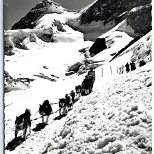 c1950s Interlaken, Switzerland Snow Dog Sled Team RPPC Verlag Walter Schild A150 picture