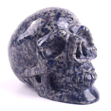 5.5 in Natural Sodalite Carved Crystal Skull,Reiki Healing,Super Realistic picture