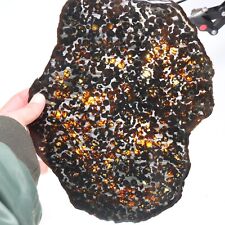 320g Beautiful SERICHO pallasite Meteorite slice - from Kenya C7391 picture