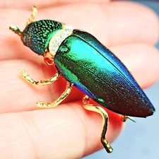 Thai Handcrafted Green Elytra Beetle Pin Brooch Real Sternocera Aequisignata Bug picture