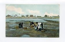 Newburyport MA 1910 postcard, clam diggers, Plum Island Lighthouse, cottages picture