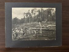 Antique mounted photo White missionary native hurricane damage? 10 x 13 trees picture
