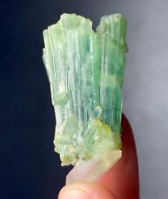 82 Carat Tourmaline crystal with Quartz  Specimen  from Afghanistan picture