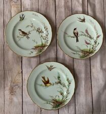 Minton Hand Painted Cabinet Plates Birds Insects Berries Set Of Three picture