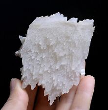 118gNatural Rare “Angel Wings” Pink Fluorescence Calcite Mineral Specimen/ China picture