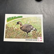 B30s Wildlife In Danger 1992 WWF World Fund #100 Hawaiian Goose picture