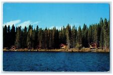 c1960's Mel Ebert's Hi-Hium Lake Fishing Camp Ashcroft BC Canada Postcard picture