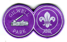 Gilwell Park / Woodbadge Patch - very limited quanties from the UK picture