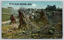 Postcard MN Fosston Scene Near Fosston Minnesota picture