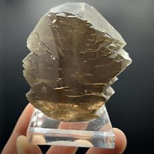 Smoky Quartz Gwindel - Mont Blanc, France - 7cm Fine Crystal Specimen picture