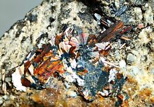 38 Gram Gorgeous Extremely Rare Natural Sagenite Specimen~Pakistan picture
