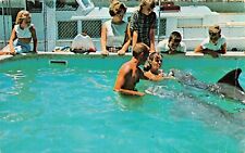 Ft Lauderdale FL Florida ocean World Aquarium Flipper Dolphin Vtg Postcard B14 picture