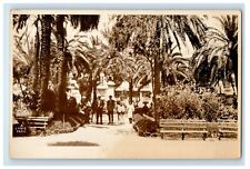 c1920's A View Of Cadiz Spain Park RPPC Photo Unposted Antique Postcard picture