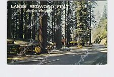 PPC Postcard CA California Leggett Lanes Redwood Flat Exterior Advertising picture