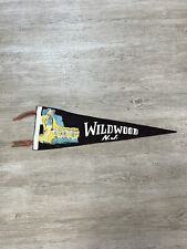 Vintage Wildwood New Jersey Shore 26'' Felt Pennant Pin Up Women Graphic 1930's picture