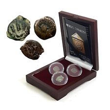 Herod Dynasty - 3 Judaean Bronze Coins of the Biblical Holy Land 3 Coin Set picture
