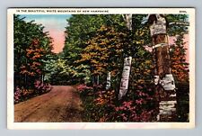 White Mts NH-New Hampshire, Scenic, Colorful, Fall, Trail, Vintage Postcard picture
