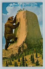 The Legend of Devil's Tower National Monument Folklore Postcard picture