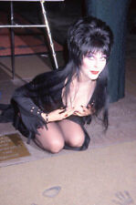Cassandra Peterson Elvira  Sexy Celebrity Rare Exclusive 8.5x11 Photo 1245 picture