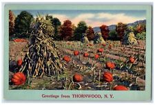 Thornwood New York NY Postcard Greetings Pumpkin Farm Trees 1954 Antique Vintage picture