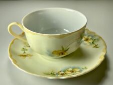 Antique O&EG Royal Austria Hand Painted Cup & Saucer picture