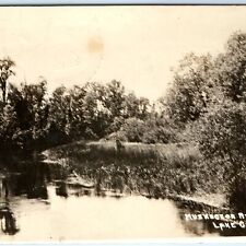 c1910s Lake City, Mich RPPC Muskegon? River Real Photo Outdoors Postcard A99 picture