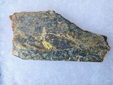 Rare Polished Gold Ore Slab from Lake County, Colorado with Tellurides picture