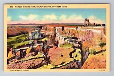Buhl ID-Idaho, Sinking Farm, Salmon Canyon, Antique Vintage Souvenir Postcard picture