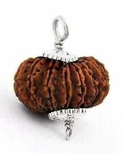 Exquisite and Rare: Certified A++ 21 Mukhi Rudraksha - A Hindu Sacred Bead picture